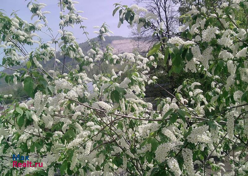 Жигулевск Жигулёвск, Приволжская улица, 7 квартира купить без посредников