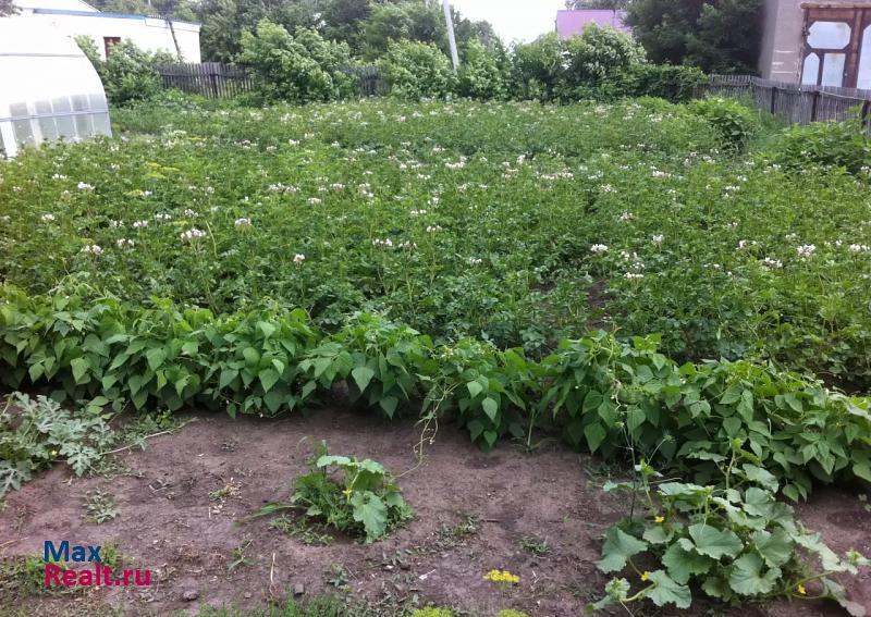 Славгород село Гальбштадт, Тракторная улица, 25 дом