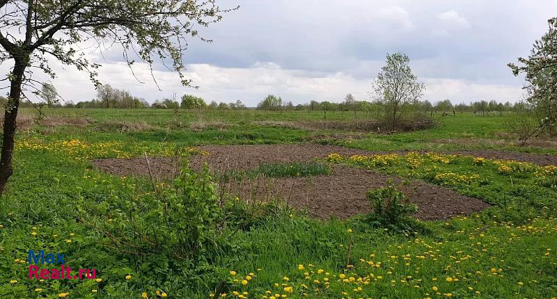 купить частный дом Черняховск поселок, Черняховский городской округ, Капустино