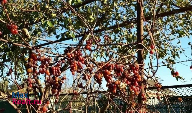 Динская Первореченское частные дома