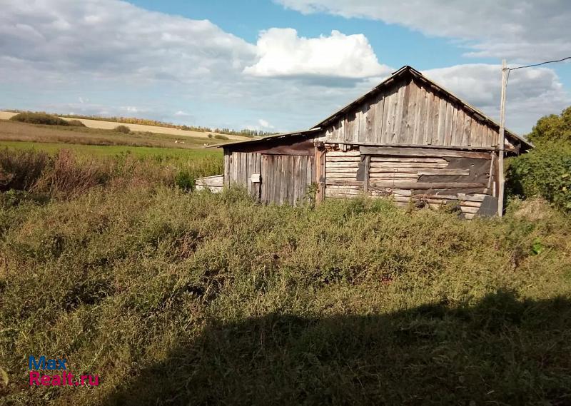 Бугуруслан село Поникла дом