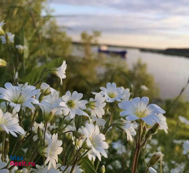 Кимры Славянский переулок частные дома