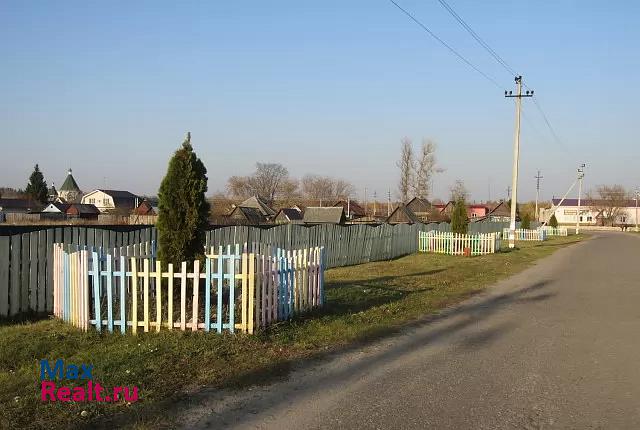 Балахна деревня Конево, улица Победы