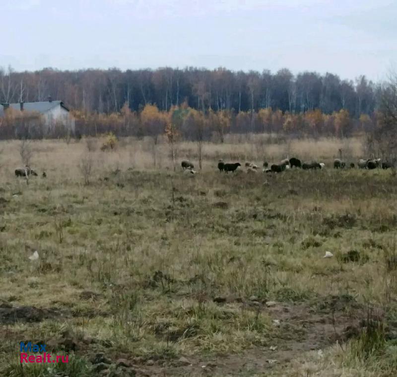 Бронницы Раменский городской округ, сельское поселение Никоновское дом