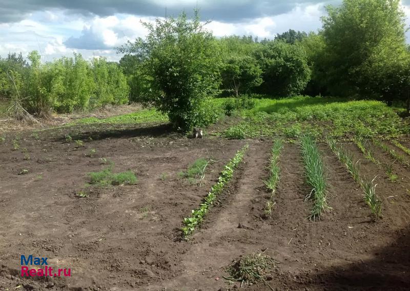 Шебекино село Верхнее Берёзово ул. Октябрьская