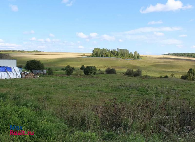 Чистополь село Тавларово дом