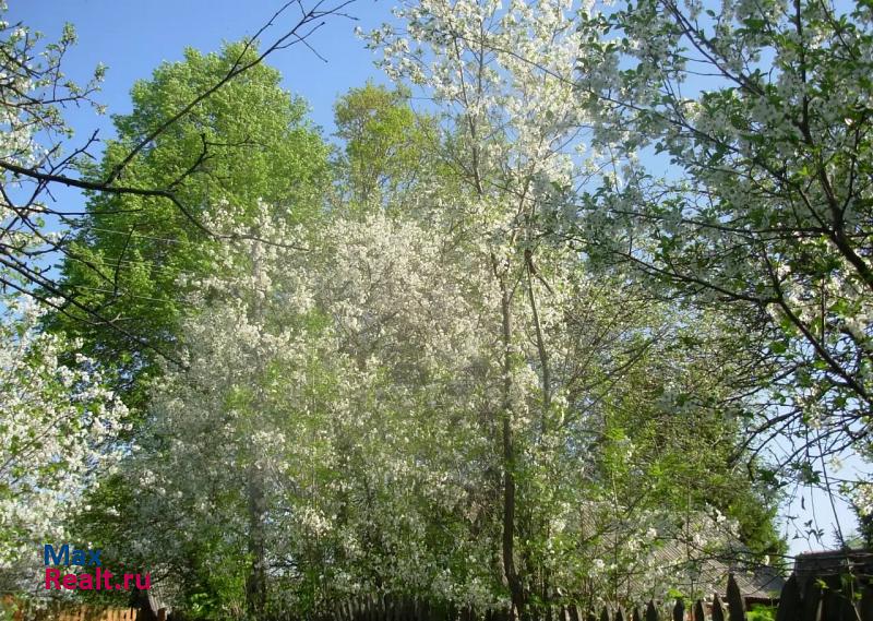 Узловая Тульская обл., г Узловая, село Высоцкое, дом 16