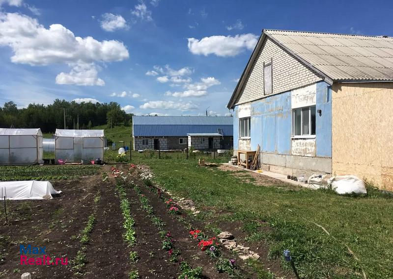 Лениногорск Лениногорский район, село Дурасово частные дома