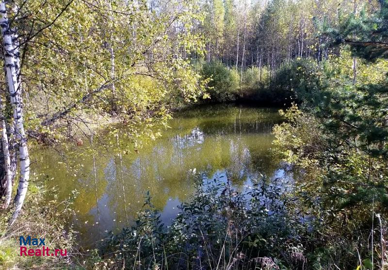 Переславль-Залесский деревня Свечино, Урожайная улица дом