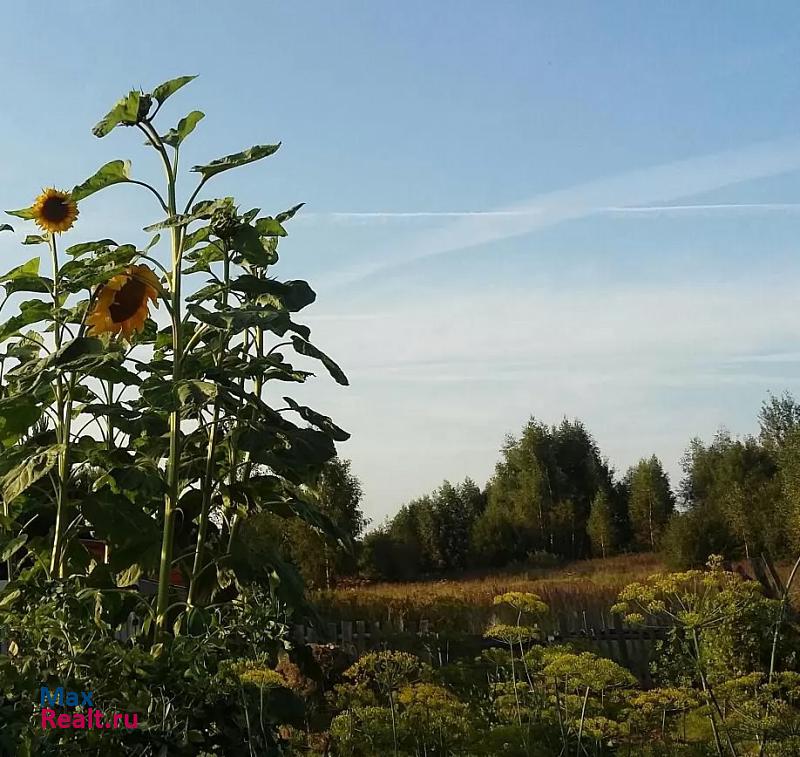 Переславль-Залесский село Половецкое