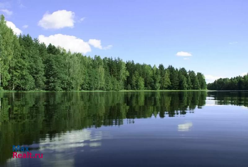 Вышний Волочек деревня Сороки, Зелёная улица