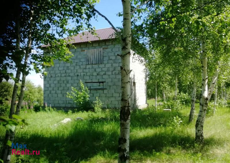 Чебаркуль Чебаркульский район частные дома