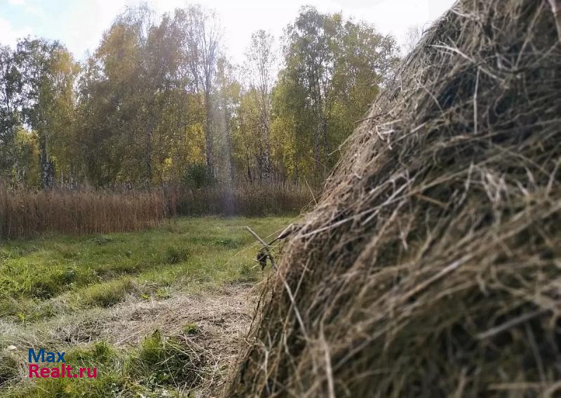 Чебаркуль деревня Казырова, Центральная улица продажа частного дома