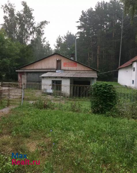 Новоалтайск Первомайский район, село Баюновские Ключи, Центральная улица