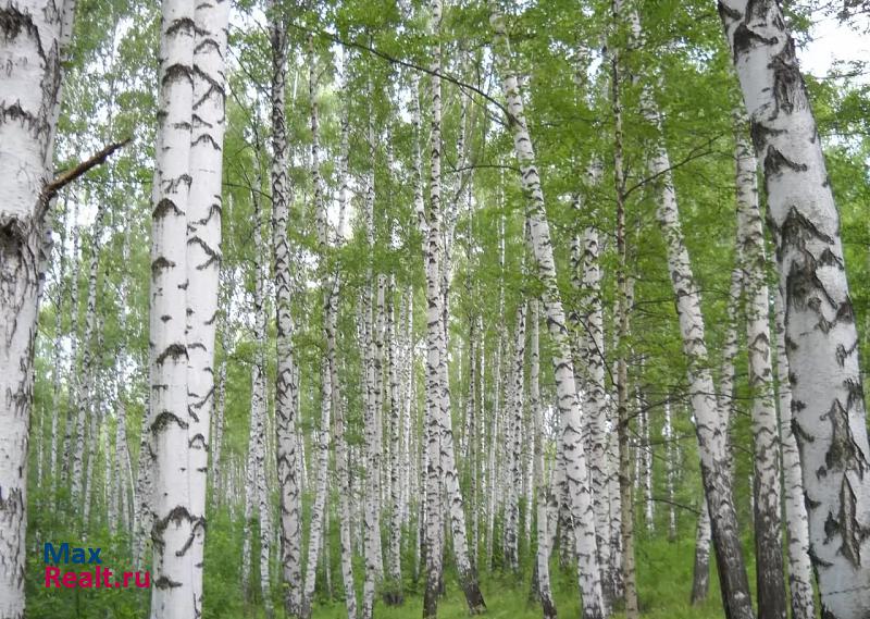 купить частный дом Павлово село Вареж, Речная улица, 25