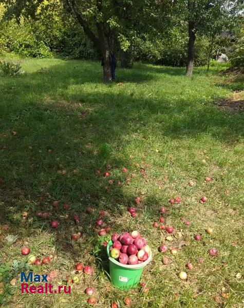 Лиски село Ковалёво дом