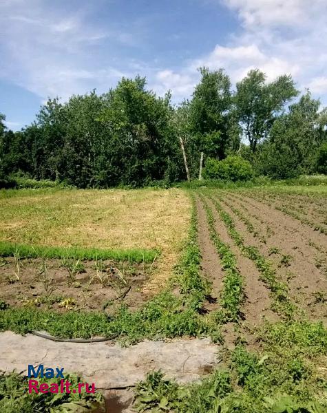 Елабуга село Лекарево, Московская улица, 6 продажа частного дома