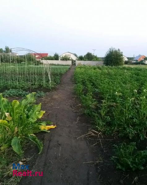 Борисоглебск село Чигорак продажа частного дома