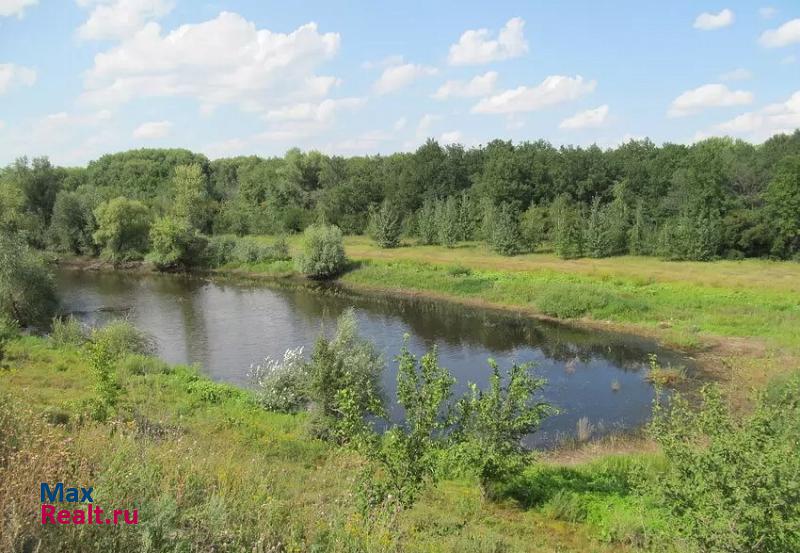 купить частный дом Борисоглебск с.Тюковка, Борисоглебский район