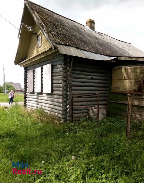 Луга Новгородская область, деревня Подберезье