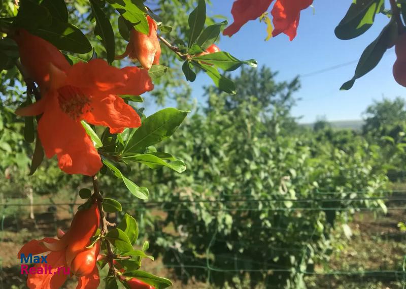 купить частный дом Феодосия село Насыпное, Речная улица