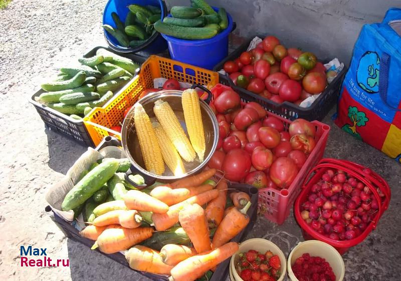 купить частный дом Копейск посёлок Луговой, Комсомольская улица