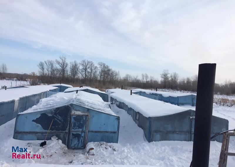 купить частный дом Рубцовск Рубцовский район, село Новоалександровка