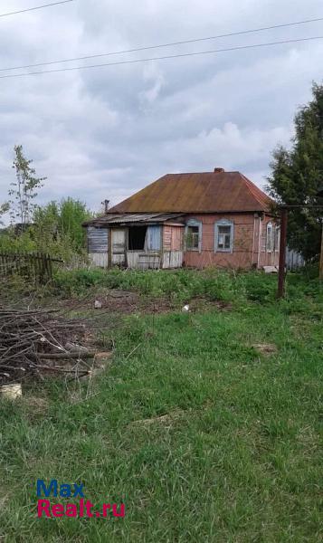 купить частный дом Мичуринск село, Первомайский район, Степанищево