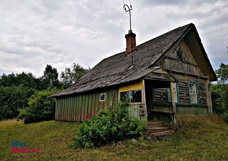 купить частный дом Великие Луки деревня Мартьяново