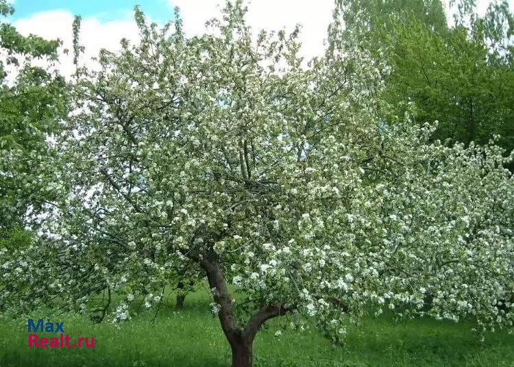 купить частный дом Кисловодск ул Войкова