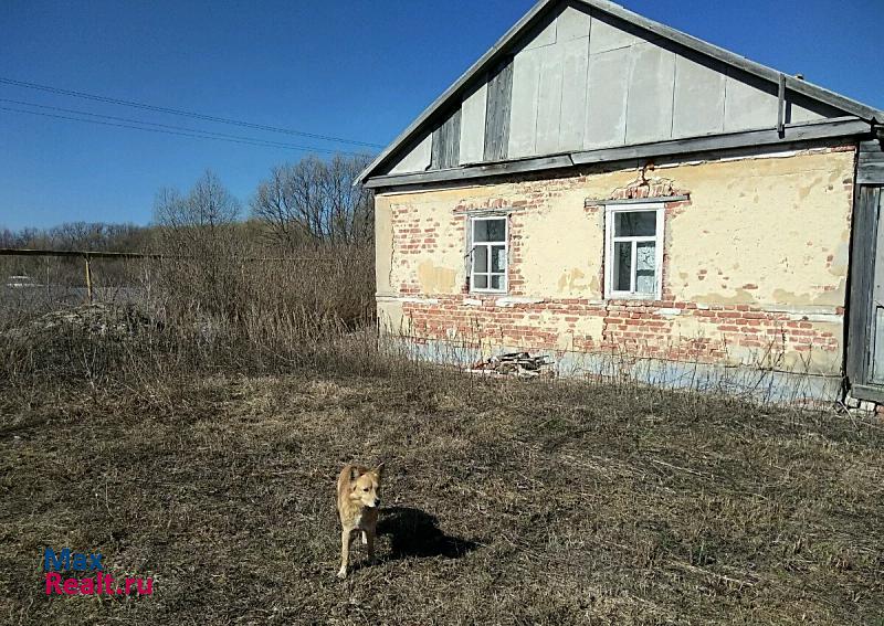 купить частный дом Тамбов с.Беломестная Двойня