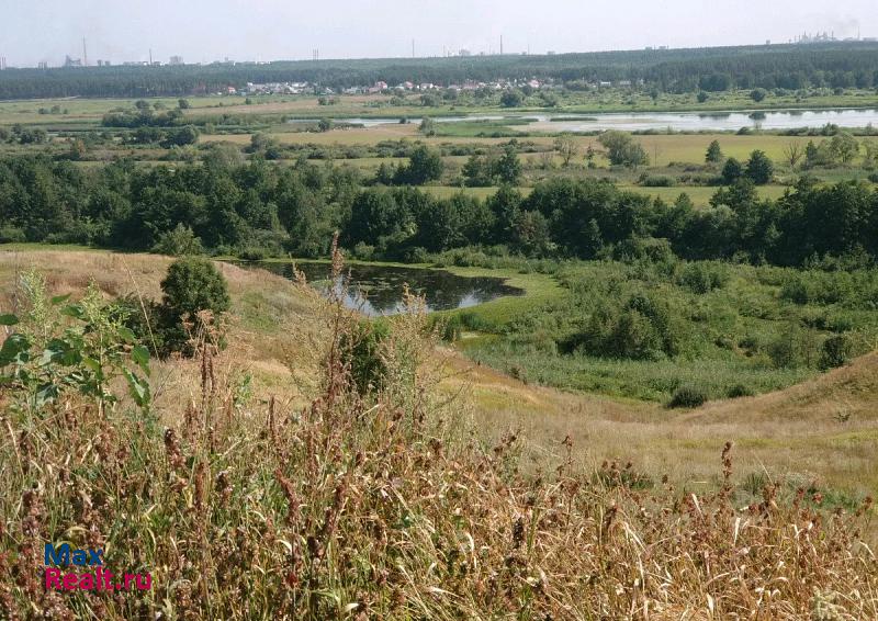 купить частный дом Липецк Липецкий район, село Ленино, улица Гагарина, 17