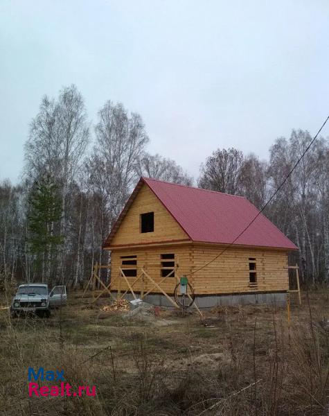 купить частный дом Курган село Колташево, Рябиновая улица