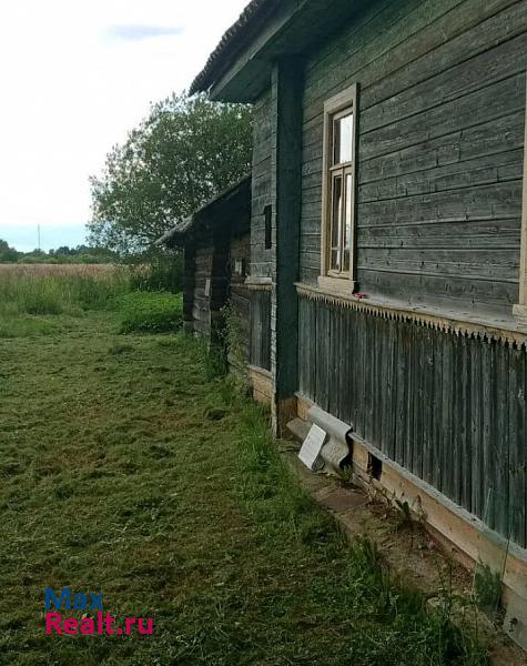 купить частный дом Панковка деревня Борки