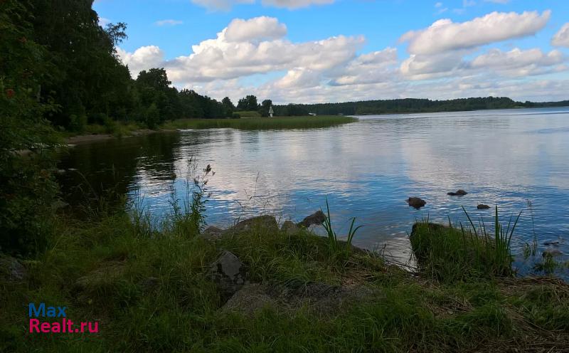 Высоцкое городское поселение Высоцк квартира