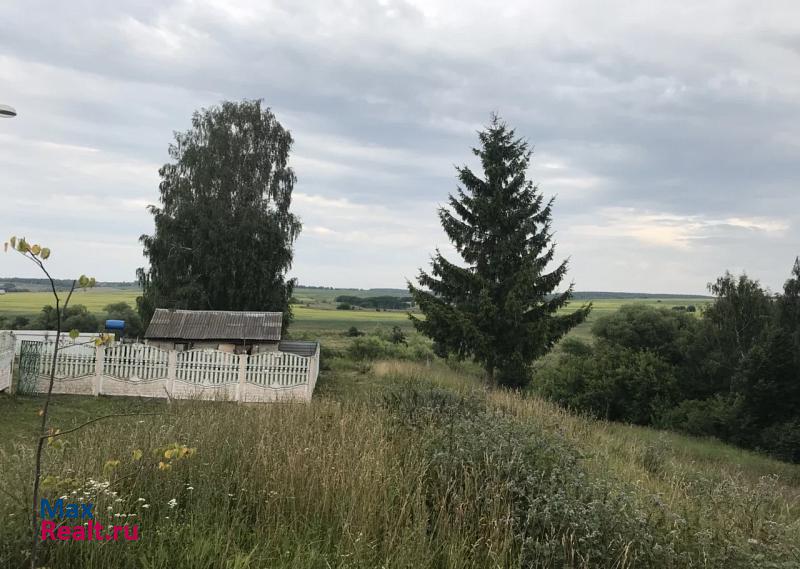 Зарайск городской округ Зарайск, село Чулки-Соколово