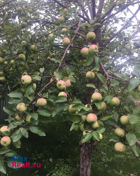 купить частный дом Новый Удмуртская Республика, село Гольяны