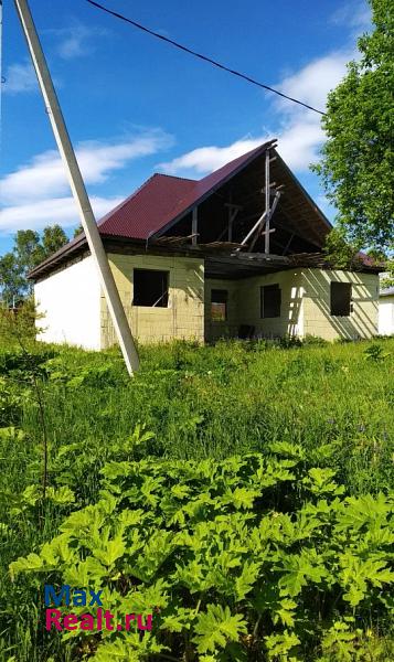 Богородск село Дуденево, Яблочная улица, 11Е частные дома