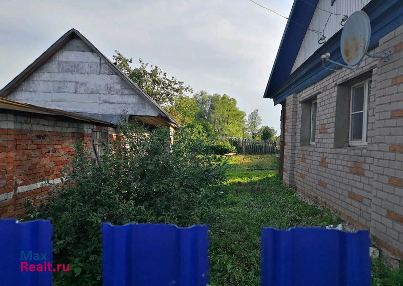 купить частный дом Новочеремшанск Самарская область, село Юмратка, Большая улица