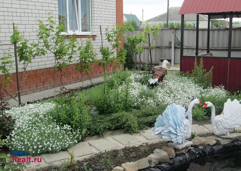 Валуйки село Новая Симоновка, Озёрный переулок частные дома