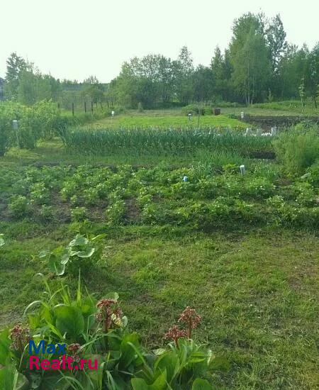 Переславль-Залесский село Купанское частные дома