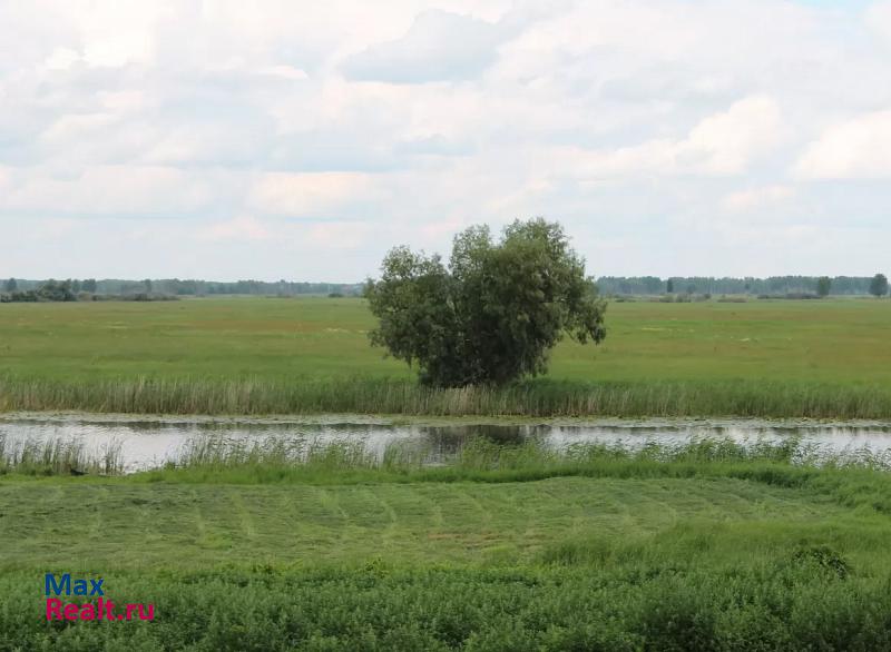 Ишим Ишимский район, село Гагарино, улица Мира