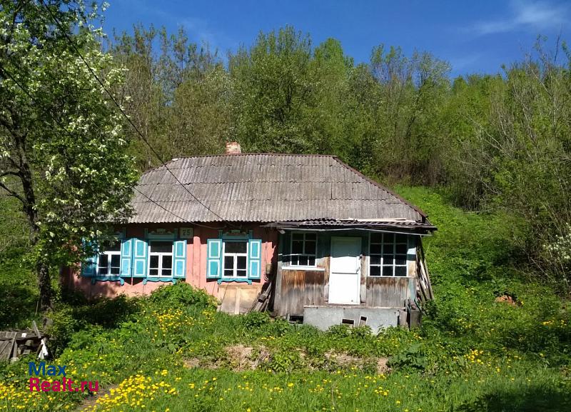 купить частный дом Тайжина поселок Тайжина, Осинниковский городской округ, улица Льва Толстого, 25