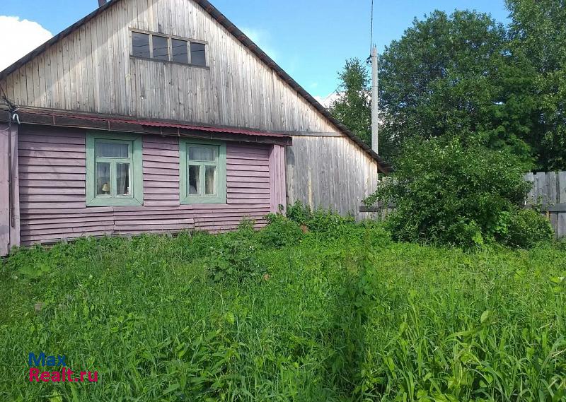 купить частный дом Пермь деревня Ельники, Добрянский городской округ