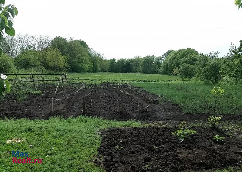 Минеральные Воды Село Нагутское Улица Садовое 19