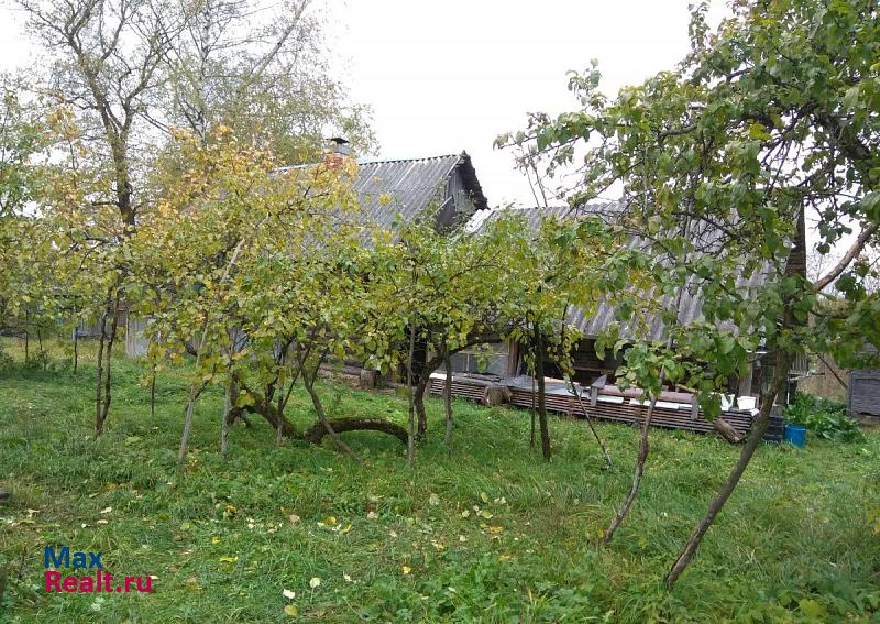 Великий Новгород Ленинградская область, Лужский район, деревня Клюкошицы, Деревенская улица