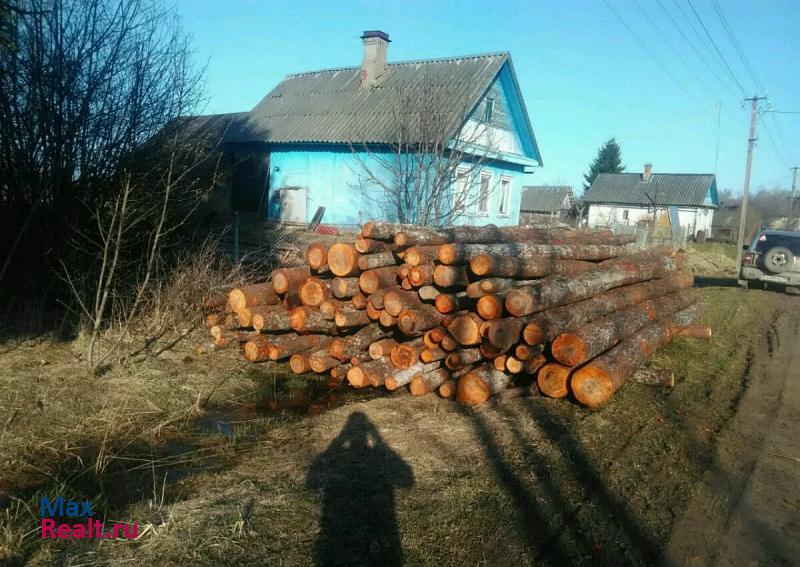 Сланцы Выскатское сельское поселение, деревня Патреева Гора