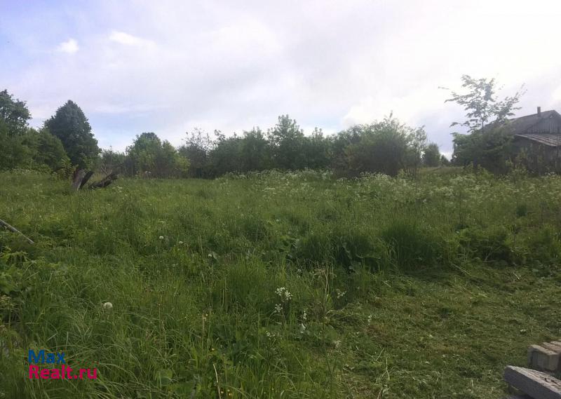 Семенов городской округ Семёновский, деревня Кондратьево