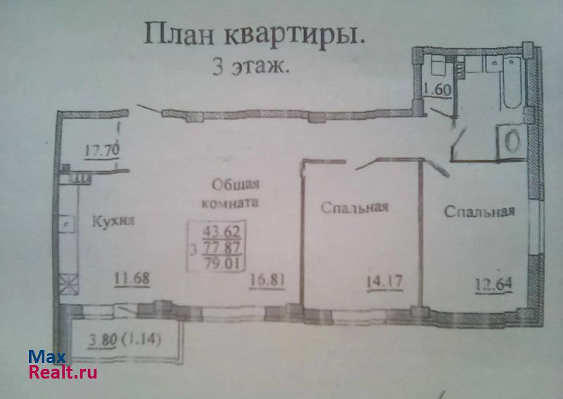 деревня Родина, Владимирская улица, 8 Псков купить квартиру