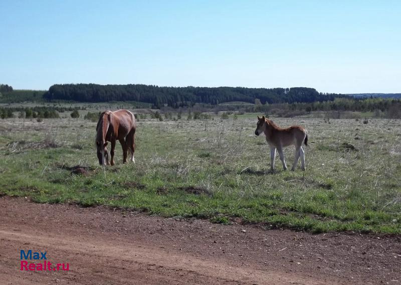 Кудымкар Село Ленинск